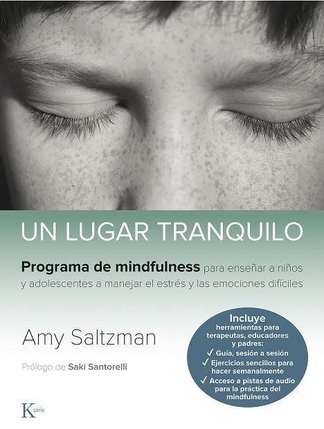 UN LUGAR TRANQUILO | 9788499887562 | SALTZMAN, AMY | Llibreria Online de Vilafranca del Penedès | Comprar llibres en català