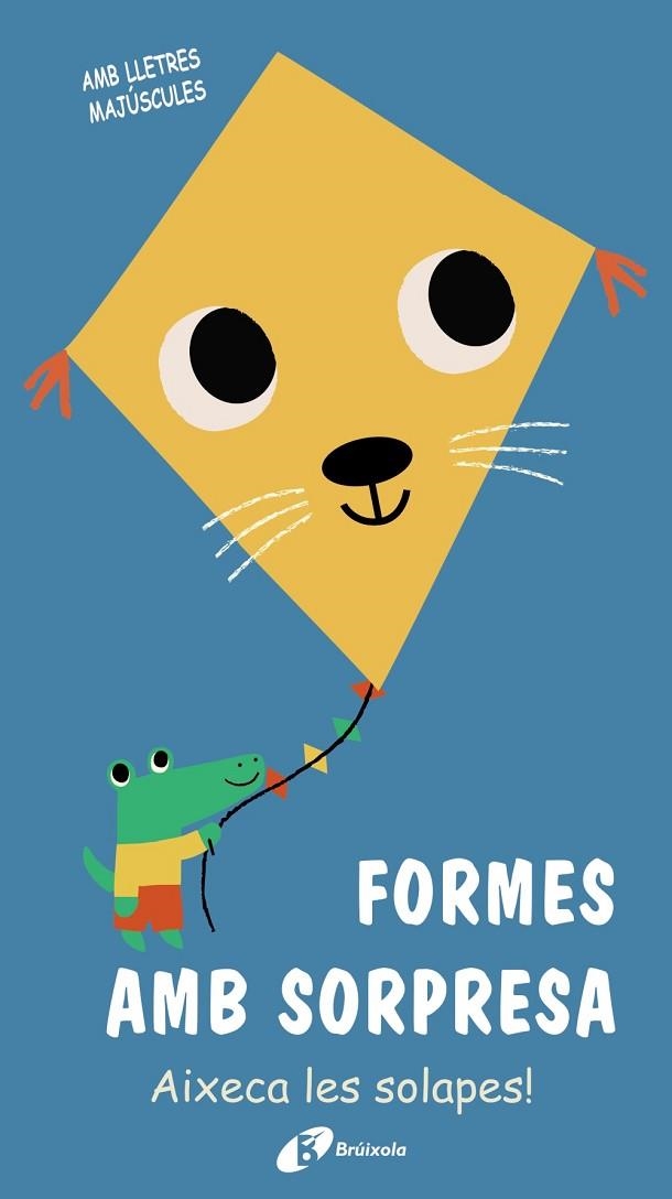 FORMES AMB SORPRESA | 9788499063690 | VARIOS AUTORES | Llibreria Online de Vilafranca del Penedès | Comprar llibres en català