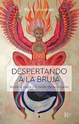 DESPERTANDO A LA BRUJA | 9788499887586 | GROSSMAN, PAM | Llibreria Online de Vilafranca del Penedès | Comprar llibres en català