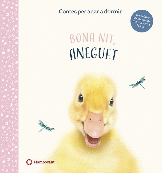 BONA NIT, ANEGUET | 9788417749637 | WOOD, AMANDA | Llibreria Online de Vilafranca del Penedès | Comprar llibres en català