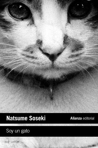 SOY UN GATO | 9788413620718 | SOSEKI, NATSUME | Llibreria L'Odissea - Libreria Online de Vilafranca del Penedès - Comprar libros