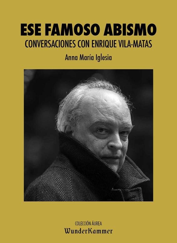 ESE FAMOSO ABISMO | 9788412166033 | IGLESIA PAGNOTTA, ANNA MARÍA | Llibreria L'Odissea - Libreria Online de Vilafranca del Penedès - Comprar libros