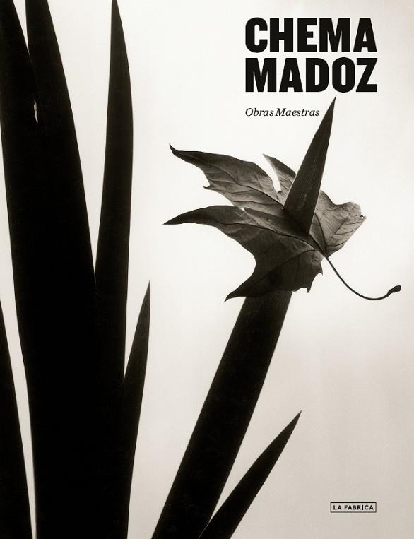 CHEMA MADOZ | 9788417769673 | MADOZ, CHEMA. | Llibreria Online de Vilafranca del Penedès | Comprar llibres en català