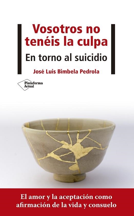 VOSOTROS NO TENÉIS LA CULPA | 9788418285707 | BIMBELA PEDROLA, JOSÉ LUIS | Llibreria Online de Vilafranca del Penedès | Comprar llibres en català