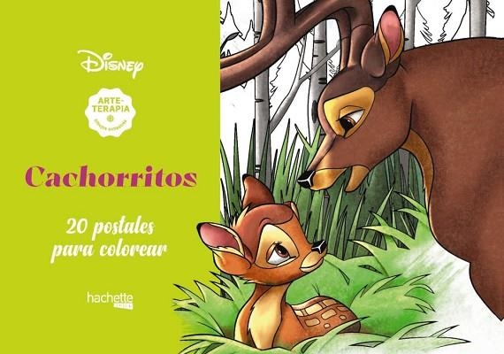 ARTETERAPIA. CACHORRITOS DISNEY | 9788417586560 | VARIOS AUTORES | Llibreria Online de Vilafranca del Penedès | Comprar llibres en català