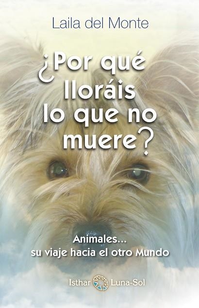 ¿POR QUÉ LLORÁIS LO QUE NO MUERE? | 9788494065842 | DEL MONTE, LAILA | Llibreria Online de Vilafranca del Penedès | Comprar llibres en català