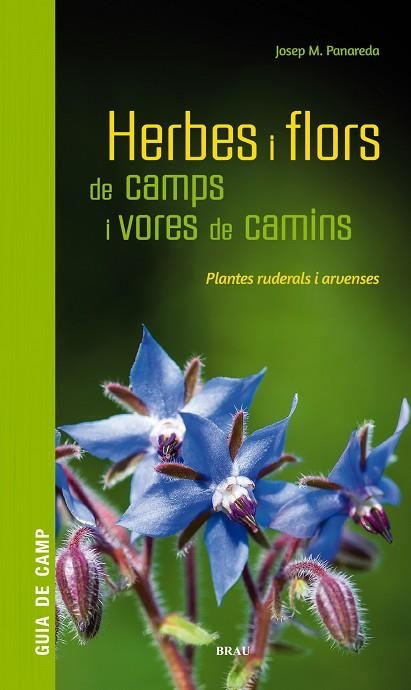 HERBES I FLORS DE CAMPS I VORES DE CAMINS | 9788418096082 | PANAREDA CLOPÉS, JOSEP M | Llibreria Online de Vilafranca del Penedès | Comprar llibres en català