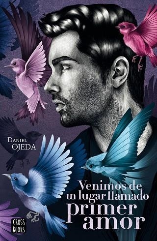 VENIMOS DE UN LUGAR LLAMADO PRIMER AMOR | 9788408224877 | OJEDA CHECA, DANIEL | Llibreria Online de Vilafranca del Penedès | Comprar llibres en català