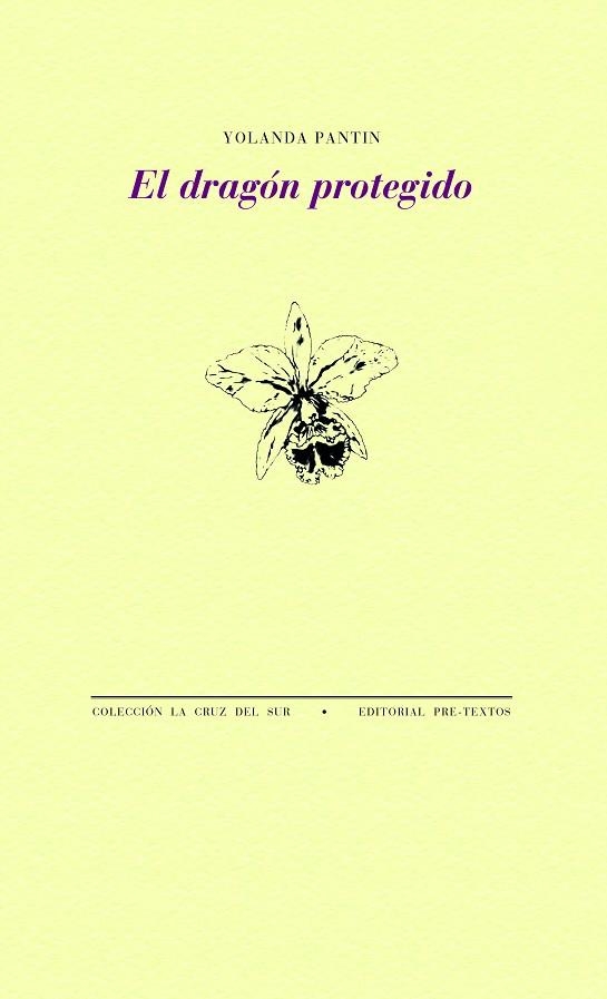 EL DRAGÓN PROTEGIDO | 9788418178788 | PANTIN, YOLANDA | Llibreria Online de Vilafranca del Penedès | Comprar llibres en català