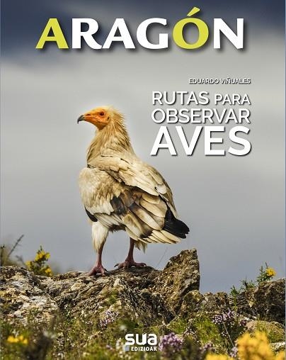 RUTAS PARA OBSERVAR AVES | 9788482167206 | VIÑUALES COBOS, EDUARDO | Llibreria Online de Vilafranca del Penedès | Comprar llibres en català