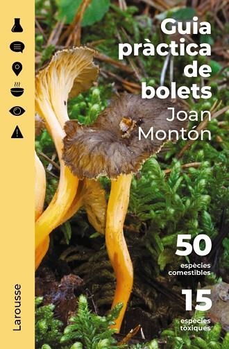 GUIA PRÀCTICA DE BOLETS | 9788418473852 | MONTÓN MARTÍNEZ, JOAN | Llibreria Online de Vilafranca del Penedès | Comprar llibres en català