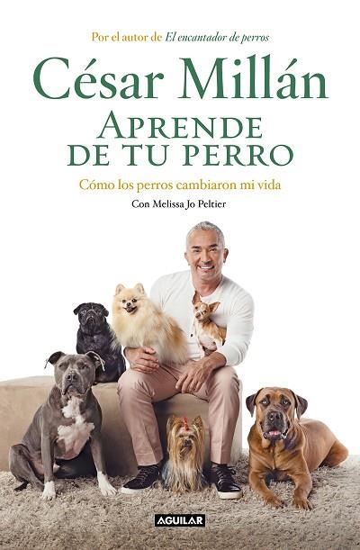 APRENDE DE TU PERRO | 9788403518445 | MILLÁN, CÉSAR | Llibreria Online de Vilafranca del Penedès | Comprar llibres en català