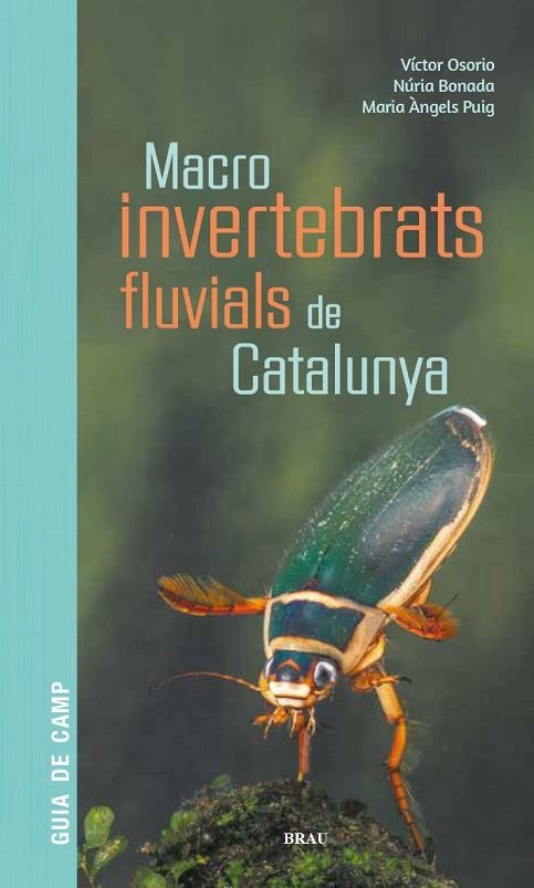 MACROINVERTEBRATS FLUVIALS DE CATALUNYA | 9788418096204 | OSORIO ÁLVAREZ, VÍCTOR/PUIG GARCÍA, M. ÁNGELES/BONADA CAPARRÓS, NÚRIA | Llibreria Online de Vilafranca del Penedès | Comprar llibres en català