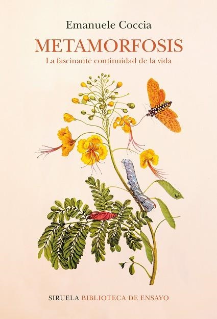 METAMORFOSIS | 9788418859052 | COCCIA, EMANUELE | Llibreria Online de Vilafranca del Penedès | Comprar llibres en català