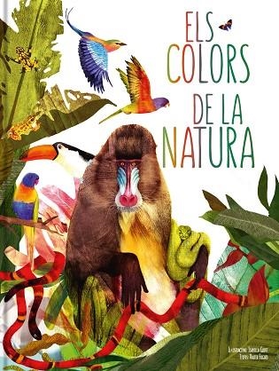 ELS COLORS DE LA NATURA | 9788413342320 | Llibreria Online de Vilafranca del Penedès | Comprar llibres en català