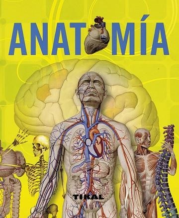 ANATOMÍA | 9788499280011 | RIGUTTI, ADRIANA | Llibreria Online de Vilafranca del Penedès | Comprar llibres en català