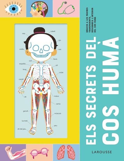 ELS SECRETS DEL COS HUMÀ | 9788418473227 | ÉDITIONS LAROUSSE | Llibreria Online de Vilafranca del Penedès | Comprar llibres en català