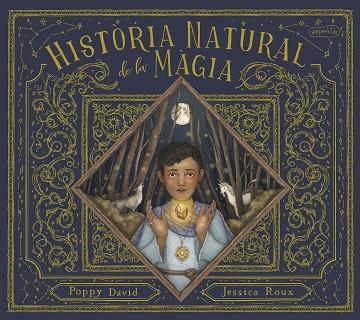 HISTÒRIA NATURAL DE LA MÀGIA | 9788418279874 | DAVID, POPPY | Llibreria Online de Vilafranca del Penedès | Comprar llibres en català