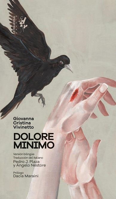 DOLORE MINIMO | 9788412276664 | VIVINETTO, GIOVANNA CRISTINA | Llibreria Online de Vilafranca del Penedès | Comprar llibres en català