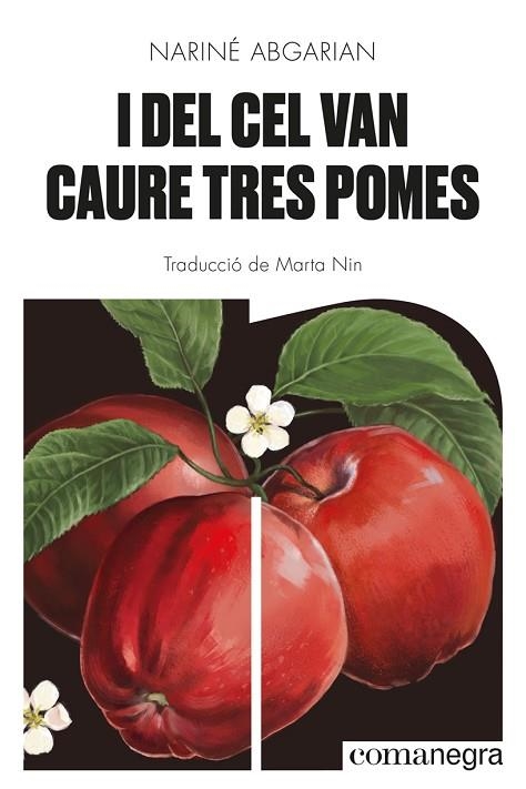 I DEL CEL VAN CAURE TRES POMES | 9788418857041 | ABGARIAN, NARINÉ | Llibreria L'Odissea - Libreria Online de Vilafranca del Penedès - Comprar libros