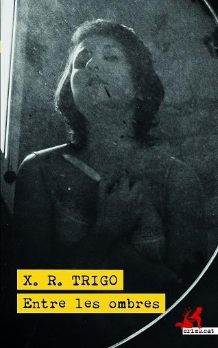 ENTRE LES OMBRES | 9788418584220 | TRIGO, XULIO RICARDO | Llibreria Online de Vilafranca del Penedès | Comprar llibres en català