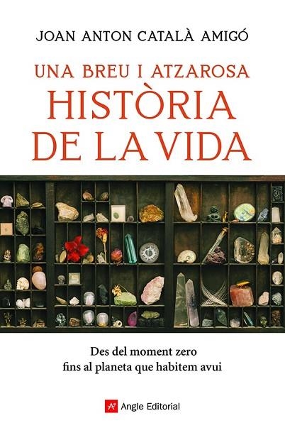 UNA BREU I ATZAROSA HISTÒRIA DE LA VIDA | 9788418197956 | CATALÀ AMIGÓ, JOAN ANTON | Llibreria Online de Vilafranca del Penedès | Comprar llibres en català