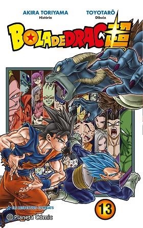 BOLA DE DRAC SUPER  13 | 9788491730323 | TORIYAMA, AKIRA/TOYOTARÔ | Llibreria Online de Vilafranca del Penedès | Comprar llibres en català