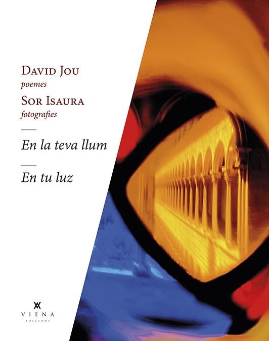 EN LA TEVA LLUM - EN TU LUZ | 9788418908262 | JOU MIRABENT, DAVID | Llibreria Online de Vilafranca del Penedès | Comprar llibres en català