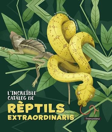 L'INCREÏBLE CATÀLEG DE RÈPTILS EXTRAORDINARIS | 9788418520341 | BANFI, CRISTINA | Llibreria Online de Vilafranca del Penedès | Comprar llibres en català