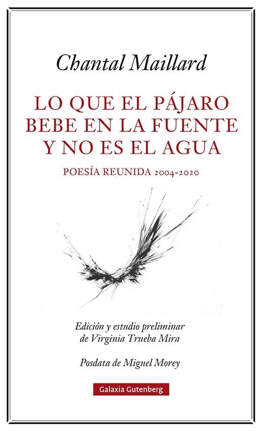 LO QUE EL PÁJARO BEBE EN LA FUENTE Y NO ES EL AGUA | 9788418807633 | MAILLARD, CHANTAL | Llibreria Online de Vilafranca del Penedès | Comprar llibres en català