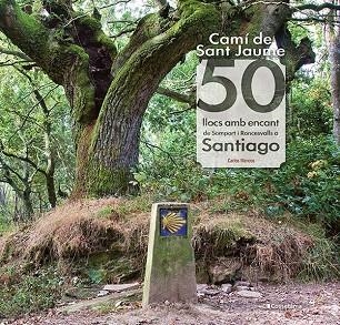 CAMÍ DE SANT JAUME: 50 LLOCS AMB ENCANT DE SOMPORT I RONCESVALLS A SANTIAGO | 9788413561653 | MENCOS ARRAIZA, CARLOS | Llibreria L'Odissea - Libreria Online de Vilafranca del Penedès - Comprar libros