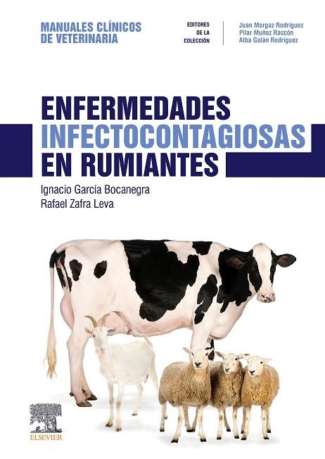 ENFERMEDADES INFECTOCONTAGIOSAS EN RUMIANTES | 9788491133537 | GARCÍA BOCANEGRA, IGNACIO | Llibreria Online de Vilafranca del Penedès | Comprar llibres en català