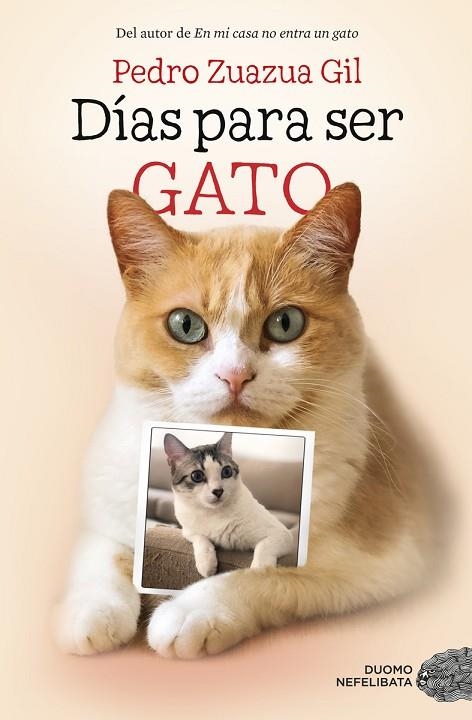 DÍAS PARA SER GATO | 9788417128524 | ZUAZUA GIL, PEDRO | Llibreria Online de Vilafranca del Penedès | Comprar llibres en català