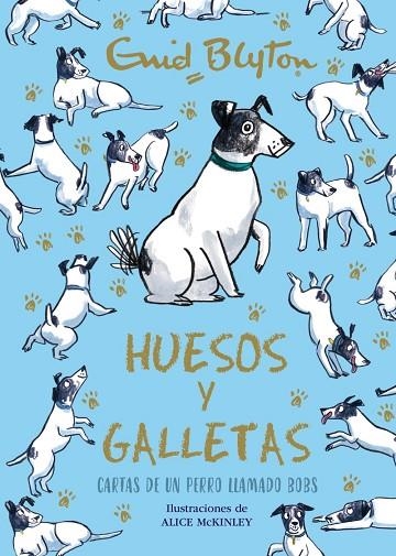 ENID BLYTON HUESOS Y GALLETAS CARTAS DE UN PERRO LLAMADO BOBS | 9788469664582 | BLYTON, ENID | Llibreria Online de Vilafranca del Penedès | Comprar llibres en català