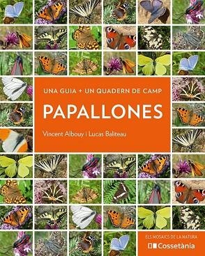 PAPALLONES | 9788413560540 | ALBOUY, VINCENT/BALITEAU, LUCAS | Llibreria Online de Vilafranca del Penedès | Comprar llibres en català