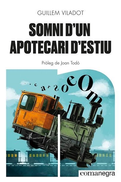 SOMNI D'UN APOTECARI D'ESTIU | 9788418857645 | VILADOT, GUILLEM | Llibreria Online de Vilafranca del Penedès | Comprar llibres en català