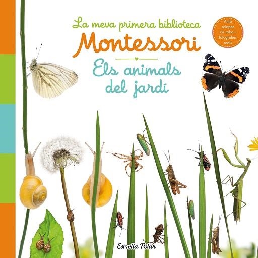 ELS ANIMALS DEL JARDÍ LA MEVA PRIMERA BIBLIOTECA MONTESSORI | 9788413890142 | AA. VV. | Llibreria Online de Vilafranca del Penedès | Comprar llibres en català