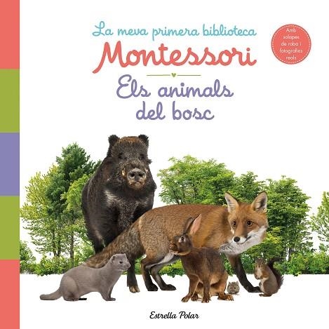 ELS ANIMALS DEL BOSC LA MEVA PRIMERA BIBLIOTECA MONTESSORI | 9788413890159 | AA. VV. | Llibreria Online de Vilafranca del Penedès | Comprar llibres en català