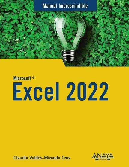 EXCEL 2022 | 9788441545182 | VALDÉS-MIRANDA, CLAUDIA | Llibreria Online de Vilafranca del Penedès | Comprar llibres en català