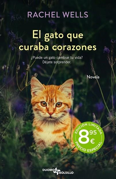 EL GATO QUE CURABA CORAZONES | 9788419004468 | WELLS, RACHEL | Llibreria Online de Vilafranca del Penedès | Comprar llibres en català