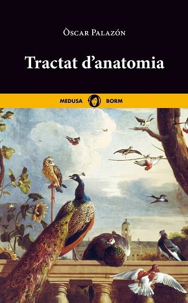 TRACTAT D'ANATOMIA | 9788419202048 | PALAZÓN, ÒSCAR | Llibreria Online de Vilafranca del Penedès | Comprar llibres en català