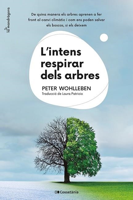 L'INTENS RESPIRAR DELS ARBRES | 9788413562087 | WOHLLEBEN, PETER | Llibreria Online de Vilafranca del Penedès | Comprar llibres en català