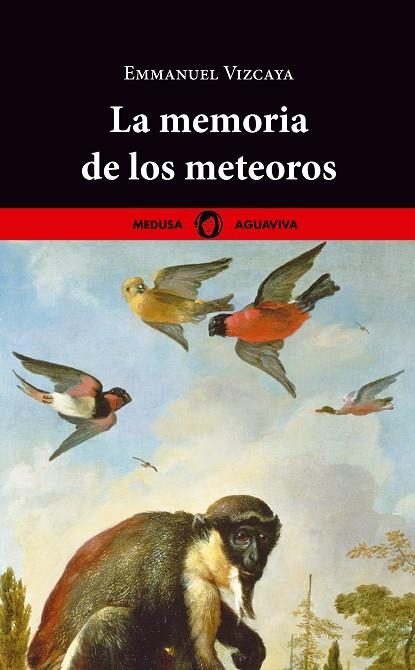 LA MEMORIA DE LOS METEOROS | 9788419202055 | VIZCAYA, EMMANUEL | Llibreria Online de Vilafranca del Penedès | Comprar llibres en català