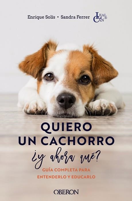 QUIERO UN CACHORRO Y AHORA QUÉ? | 9788441546561 | SOLÍS ÁLVAREZ, ENRIQUE/FERRER DE LUCAS, SANDRA | Llibreria L'Odissea - Libreria Online de Vilafranca del Penedès - Comprar libros