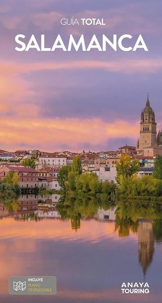 SALAMANCA | 9788491584896 | FRANCIA SÁNCHEZ, IGNACIO | Llibreria Online de Vilafranca del Penedès | Comprar llibres en català