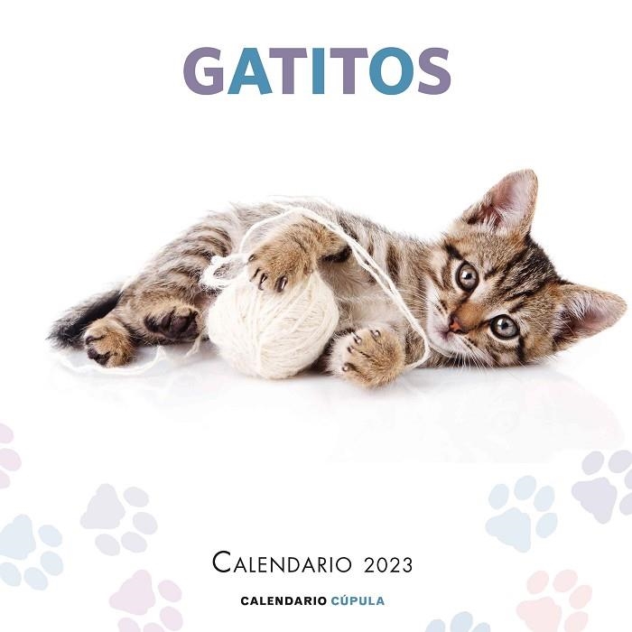 CALENDARIO GATITOS 2023 | 9788448029784 | AA. VV. | Llibreria Online de Vilafranca del Penedès | Comprar llibres en català