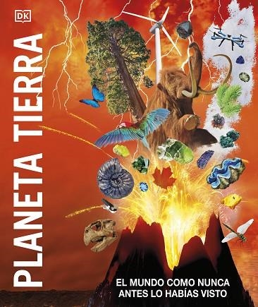 PLANETA TIERRA | 9780241582817 | VV. AA | Llibreria Online de Vilafranca del Penedès | Comprar llibres en català