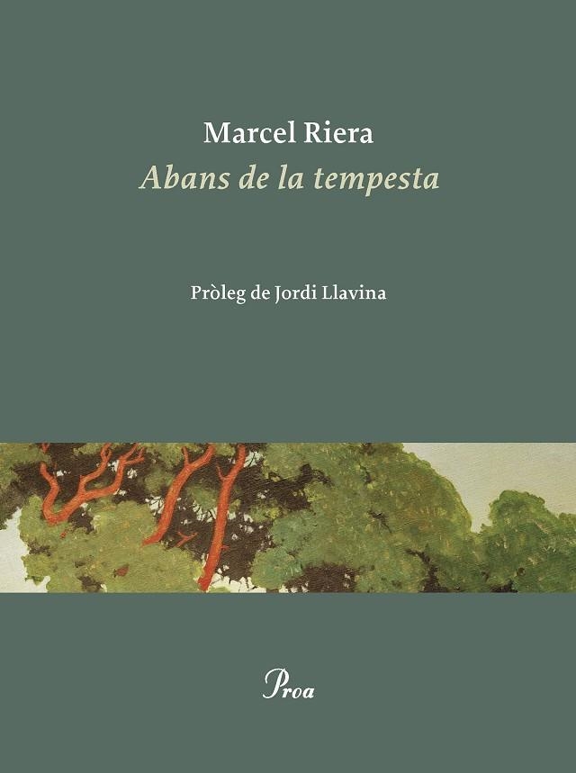 ABANS DE LA TEMPESTA | 9788475889900 | RIERA BOU, MARCEL | Llibreria L'Odissea - Libreria Online de Vilafranca del Penedès - Comprar libros