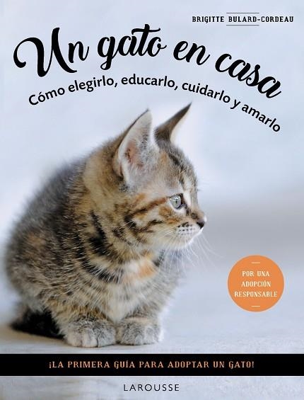 UN GATO EN CASA | 9788419436092 | BULARD-CORDEAU, BRIGITTE | Llibreria Online de Vilafranca del Penedès | Comprar llibres en català