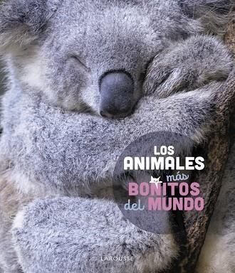 LOS ANIMALES MÁS BONITOS DEL MUNDO | 9788419436177 | LEDU, STÉPHANIE | Llibreria Online de Vilafranca del Penedès | Comprar llibres en català